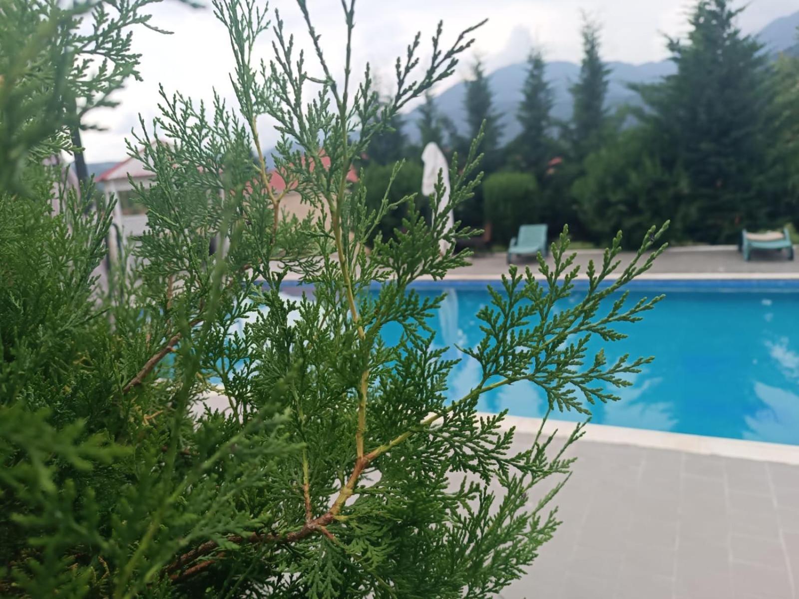 Gabala Bliss Inn Hotel And Restaurant מראה חיצוני תמונה