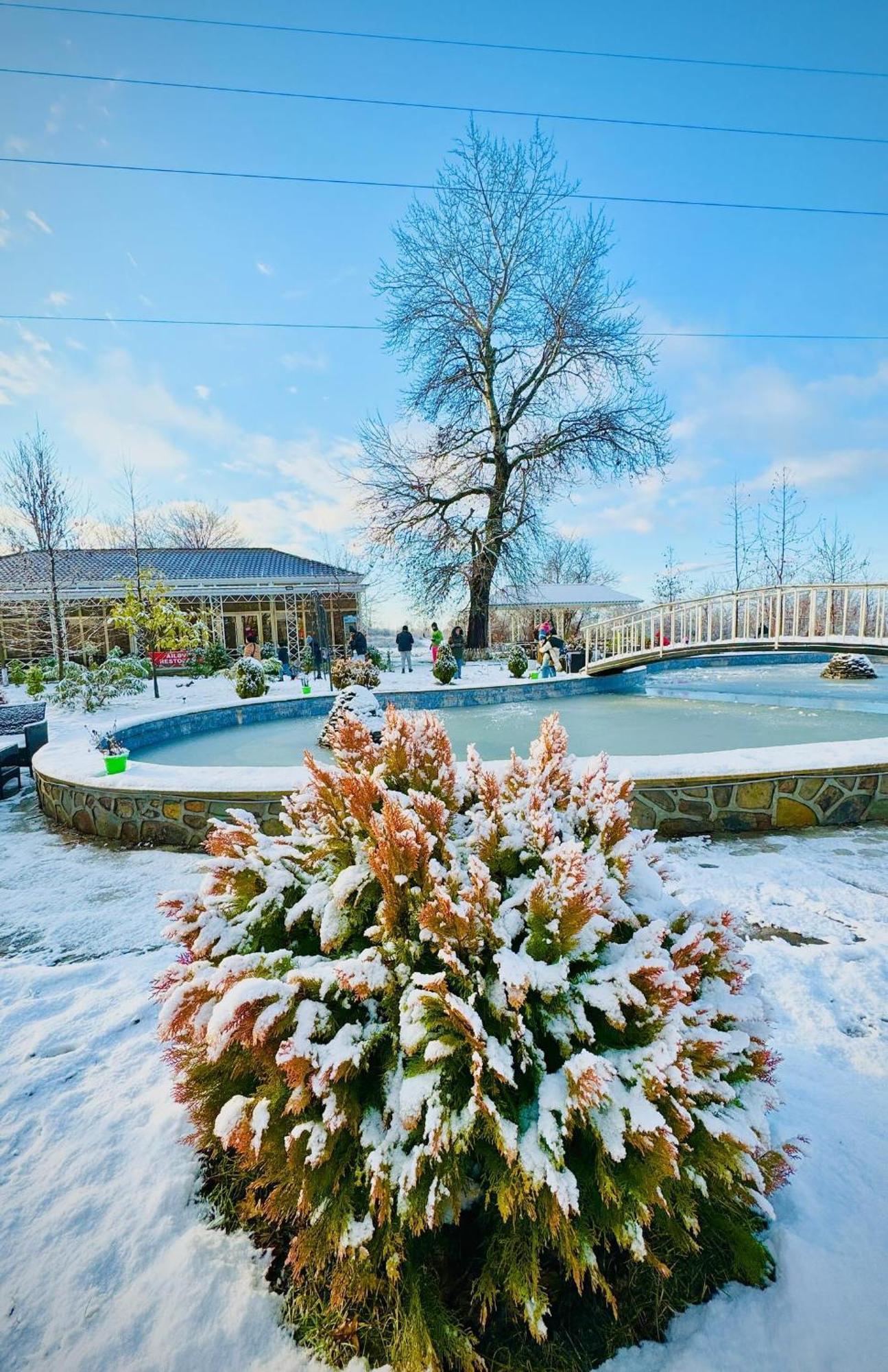 Gabala Bliss Inn Hotel And Restaurant מראה חיצוני תמונה