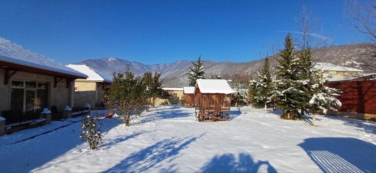Gabala Bliss Inn Hotel And Restaurant מראה חיצוני תמונה